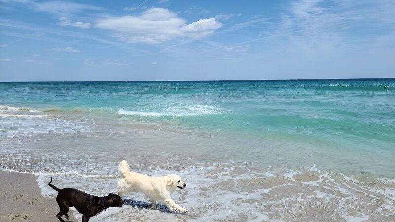 Walton Rocks Beach / Dog Park - Jensen Beach, FL