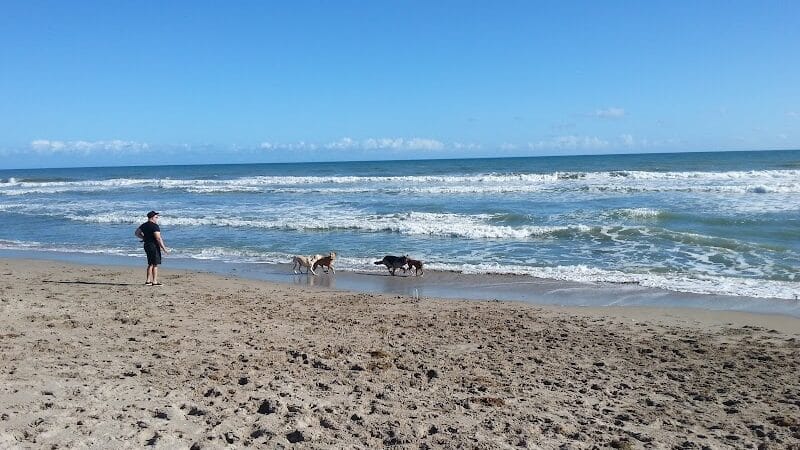 Walton Rocks Beach / Dog Park - Jensen Beach, FL