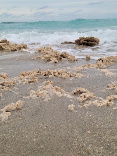 Walton Rocks Beach / Dog Park - Jensen Beach, FL