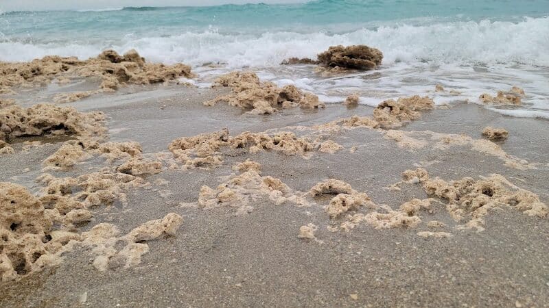 Walton Rocks Beach / Dog Park - Jensen Beach, FL