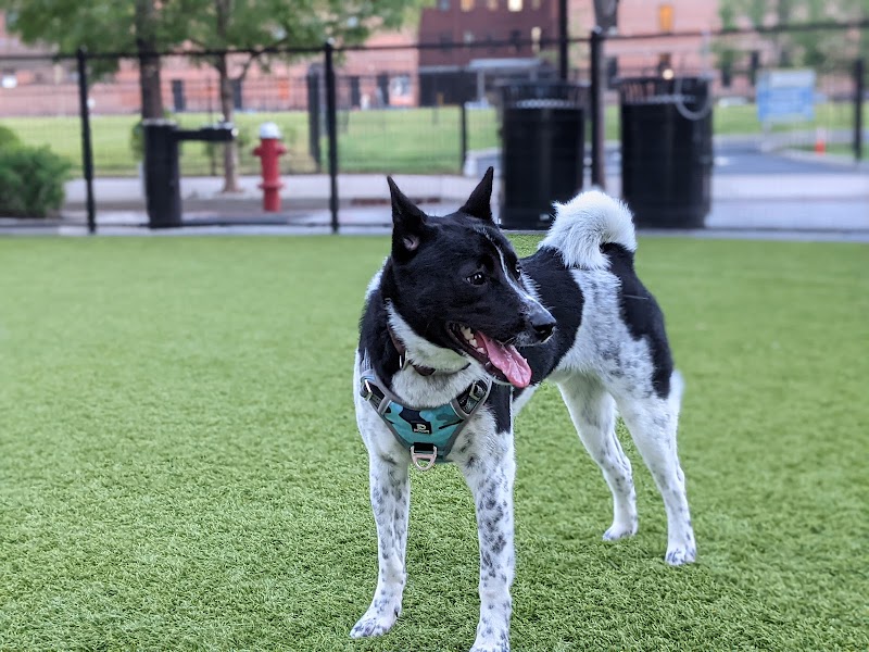 108 First Street Dog Park - Jersey City, NJ