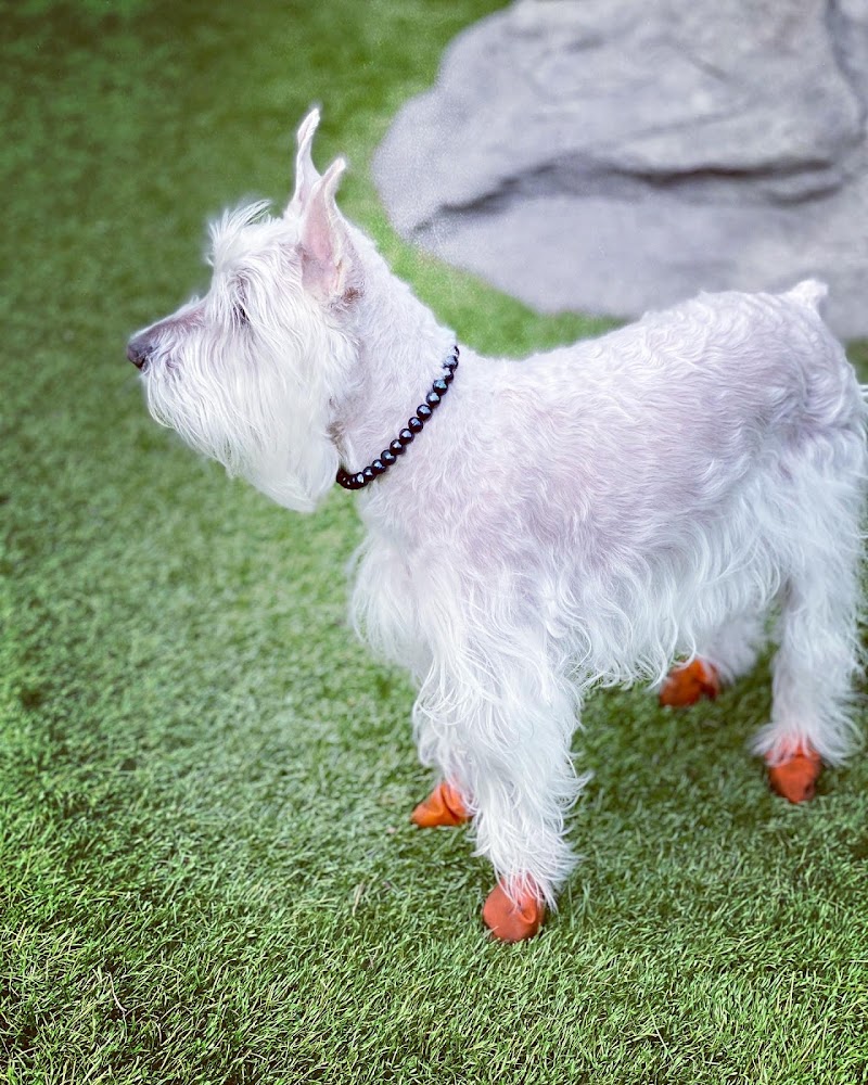 108 First Street Dog Park - Jersey City, NJ