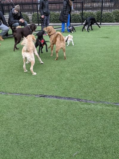 108 First Street Dog Park - Jersey City, NJ