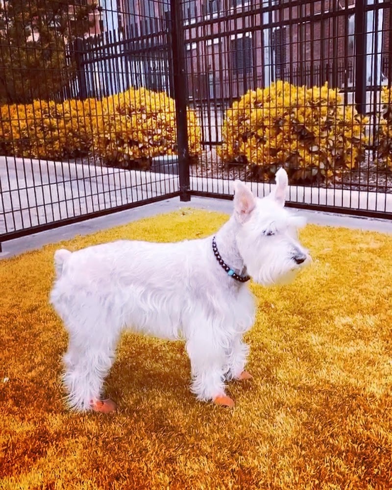 108 First Street Dog Park - Jersey City, NJ