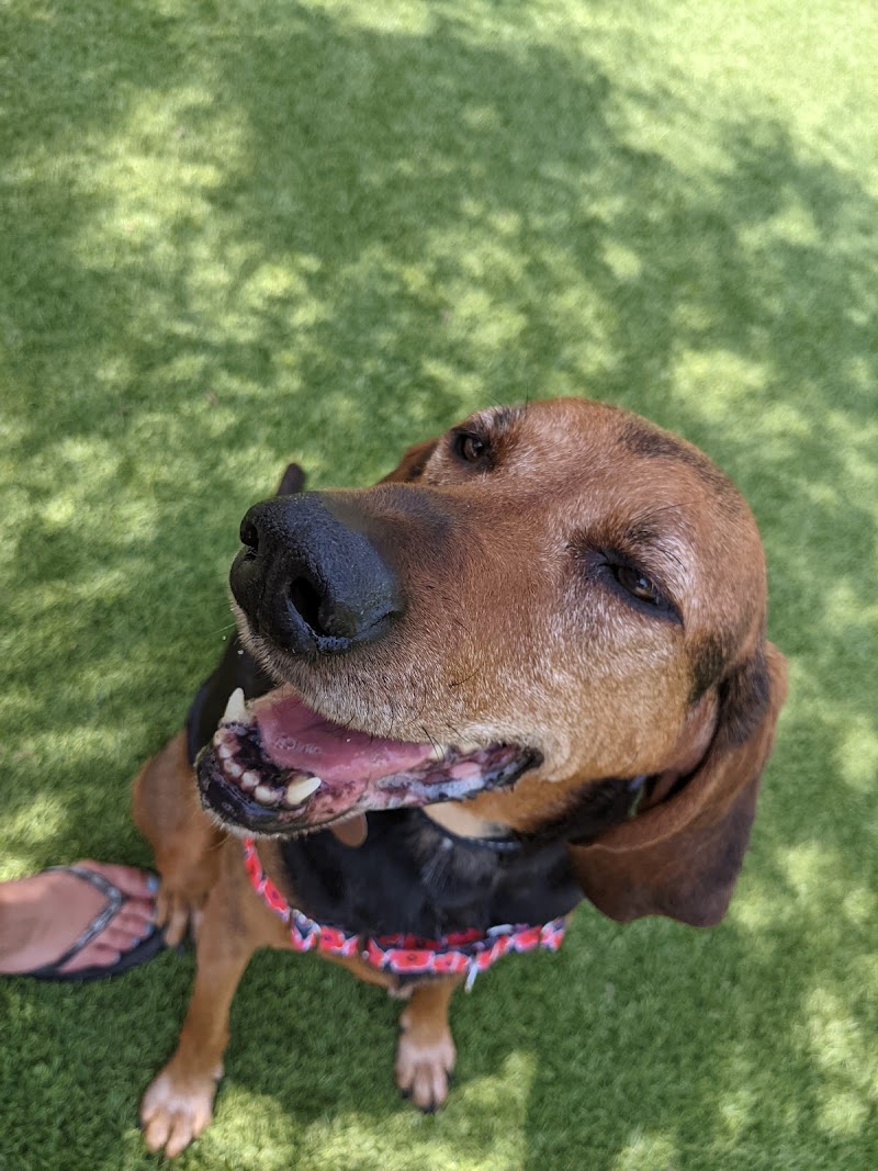 108 First Street Dog Park - Jersey City, NJ