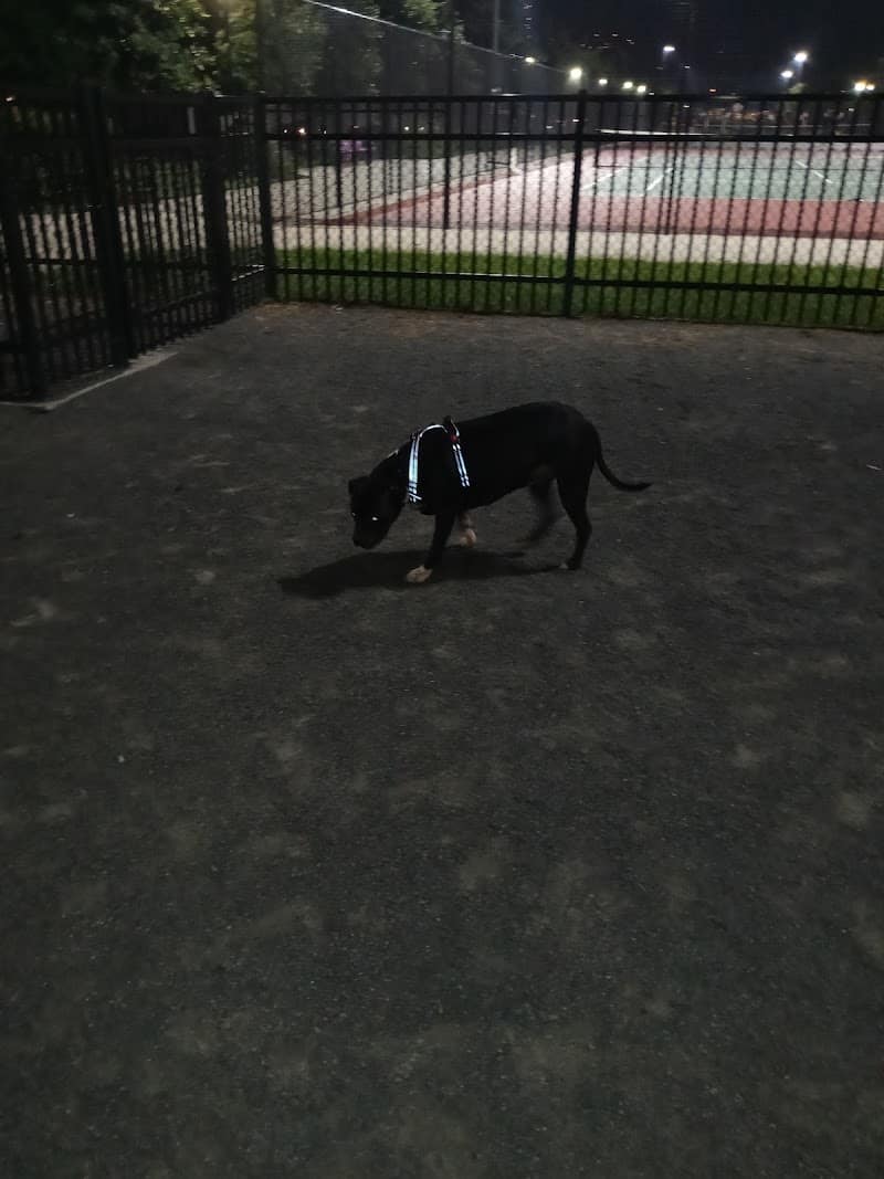 Berry Lane Park Dog Run - Jersey City, NJ