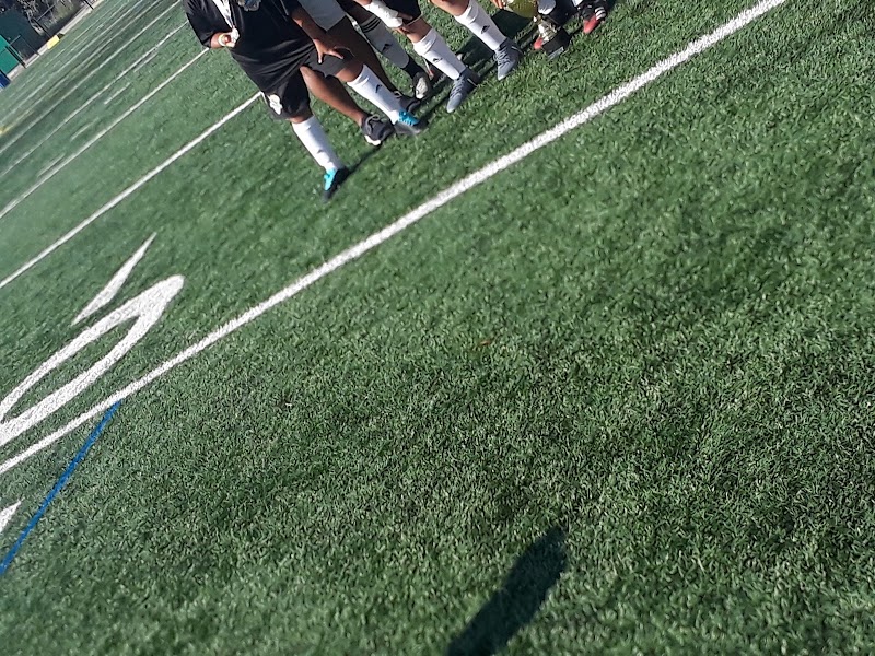 Berry Lane Park Dog Run - Jersey City, NJ