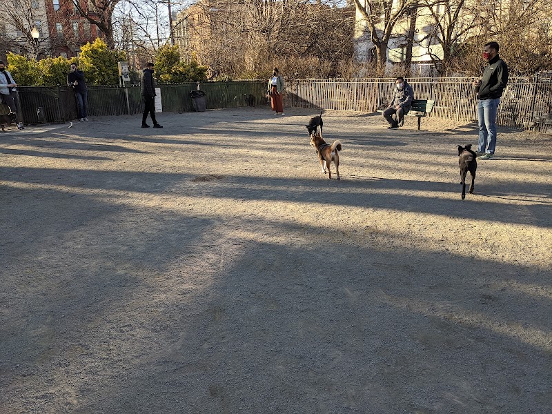Dog Park - Jersey City, NJ