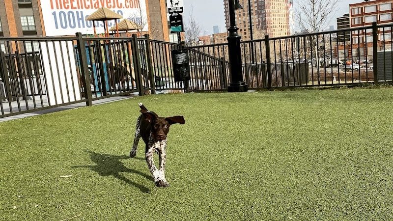 Dog park - Jersey City, NJ