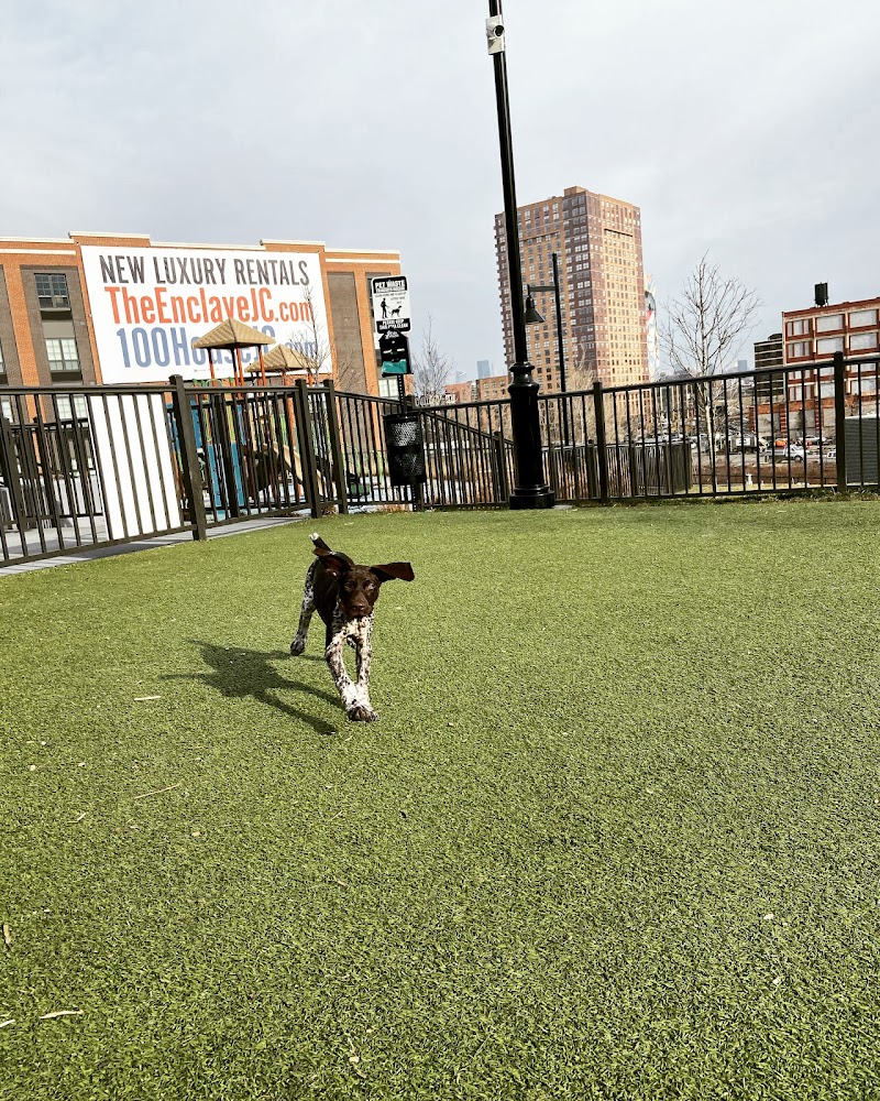 Dog park - Jersey City, NJ