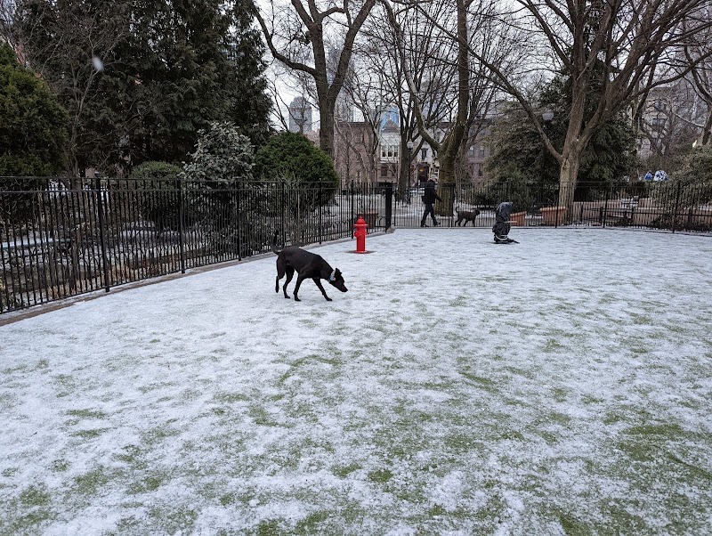 Dog Park - Jersey City, NJ