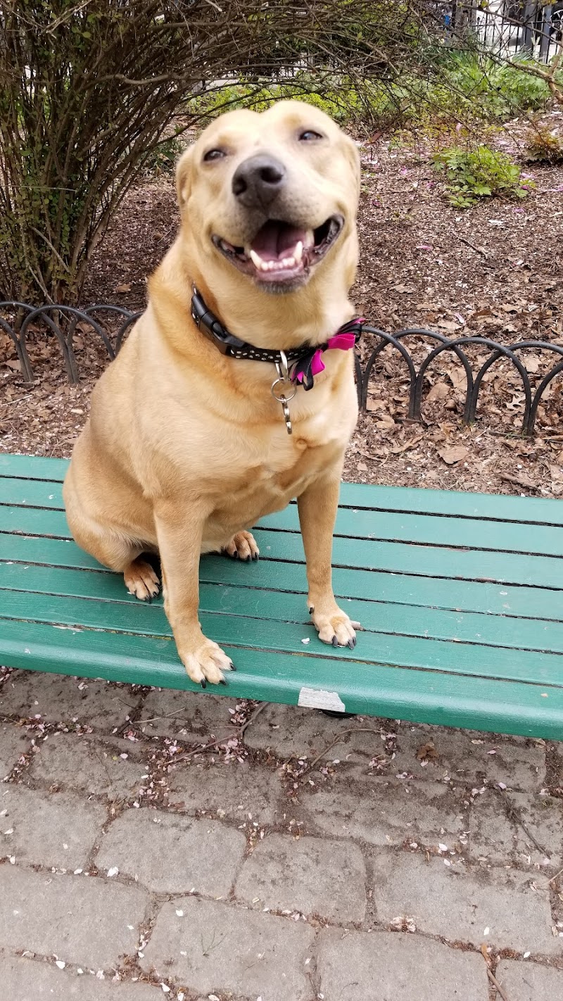 Dog Park - Jersey City, NJ