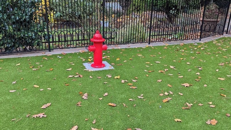 Dog Park - Jersey City, NJ