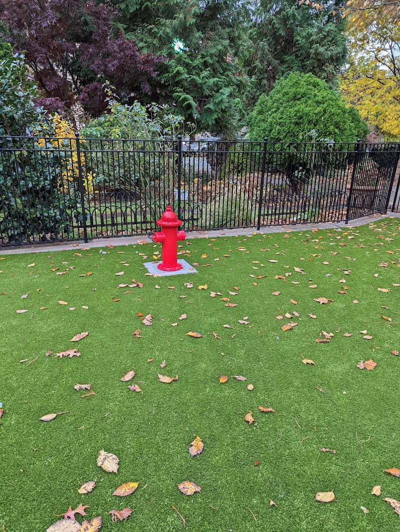 Dog Park - Jersey City, NJ