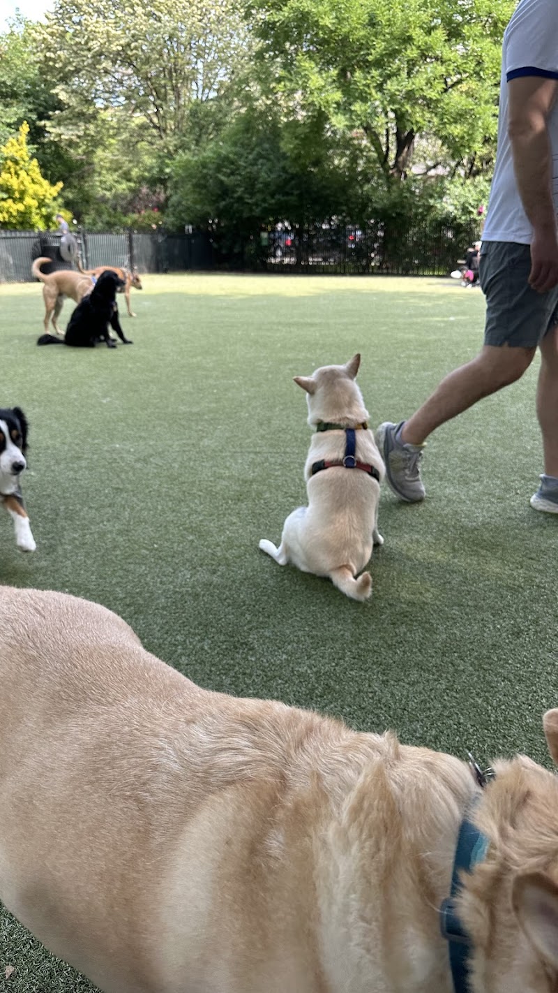 Dog Park - Jersey City, NJ