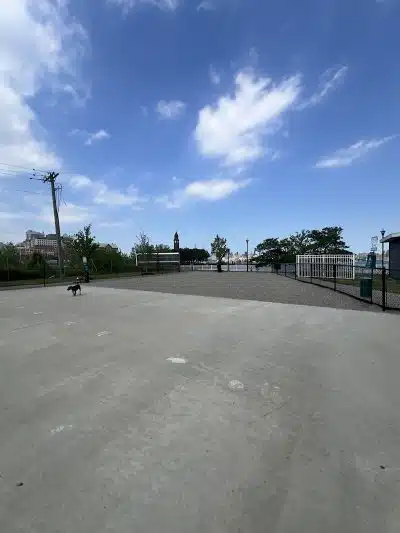 Dog Run - Jersey City, NJ