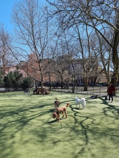 Hamilton Park - Jersey City, NJ