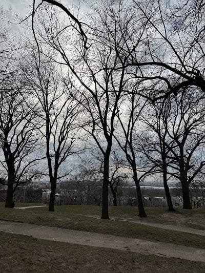 Leonard Dog Park - Jersey City, NJ