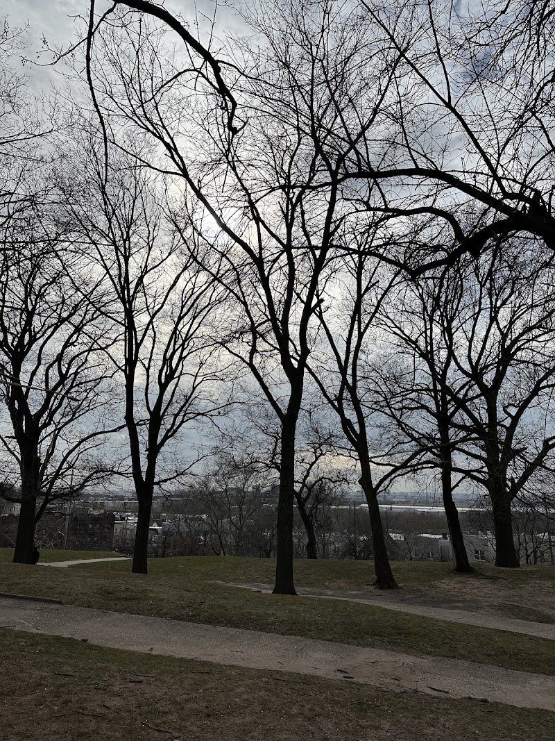 Leonard Dog Park - Jersey City, NJ