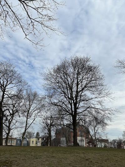 Leonard Dog Park - Jersey City, NJ