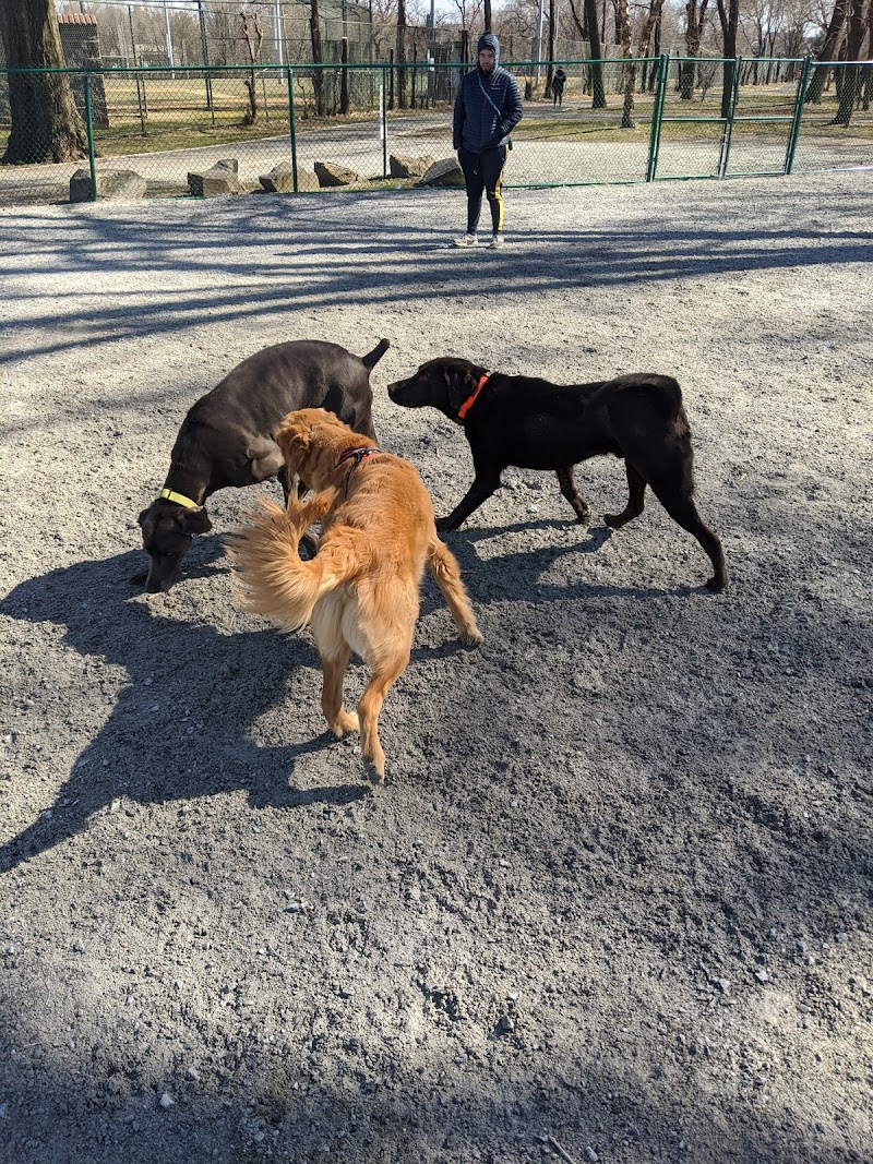 Lincoln Park Dog Run - Jersey City, NJ