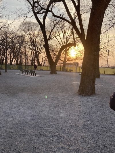 Lincoln Park Dog Run - Jersey City, NJ
