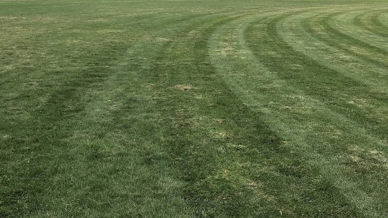 Lincoln Park Dog Run - Jersey City, NJ