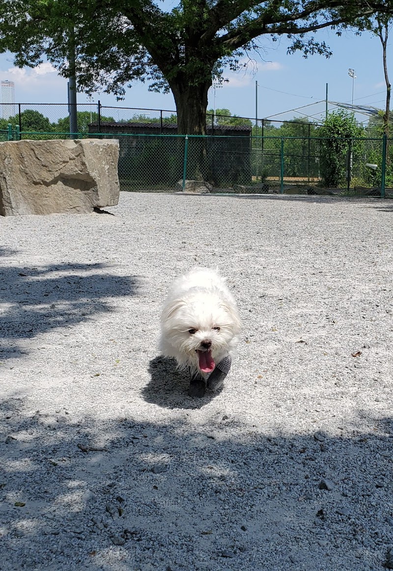 Lincoln Park Dog Run - Jersey City, NJ