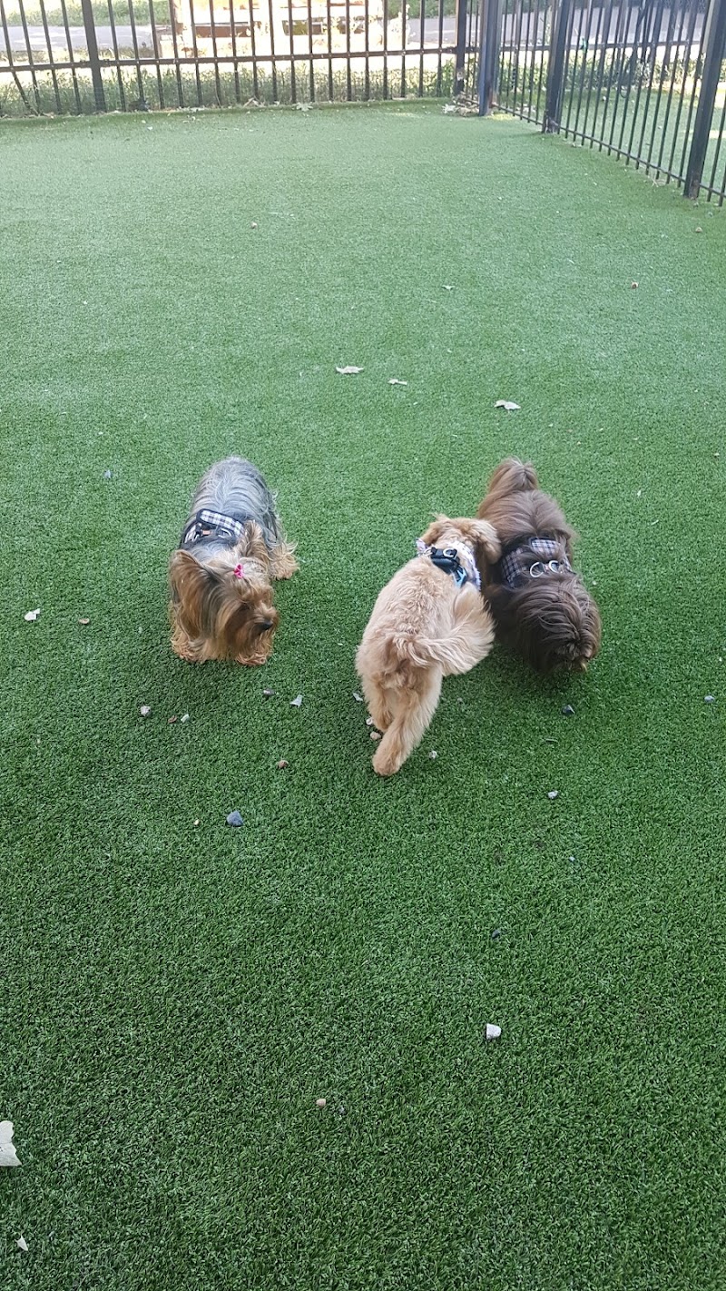 Newport Dog Park - Jersey City, NJ