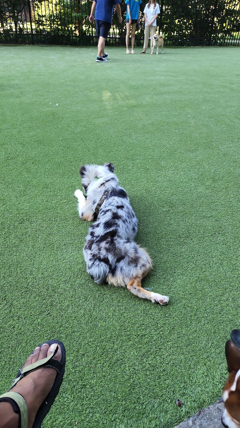 Newport Dog Park - Jersey City, NJ