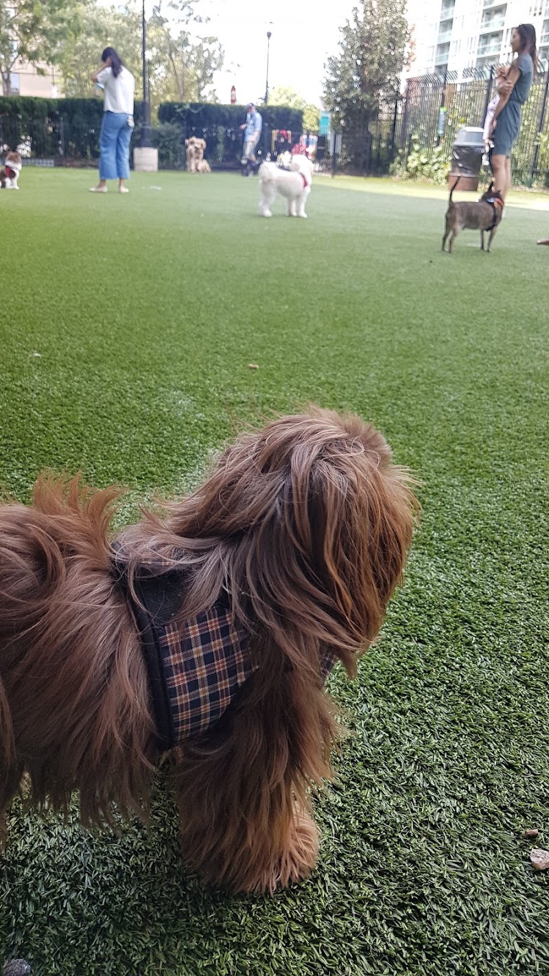 Newport Dog Park - Jersey City, NJ