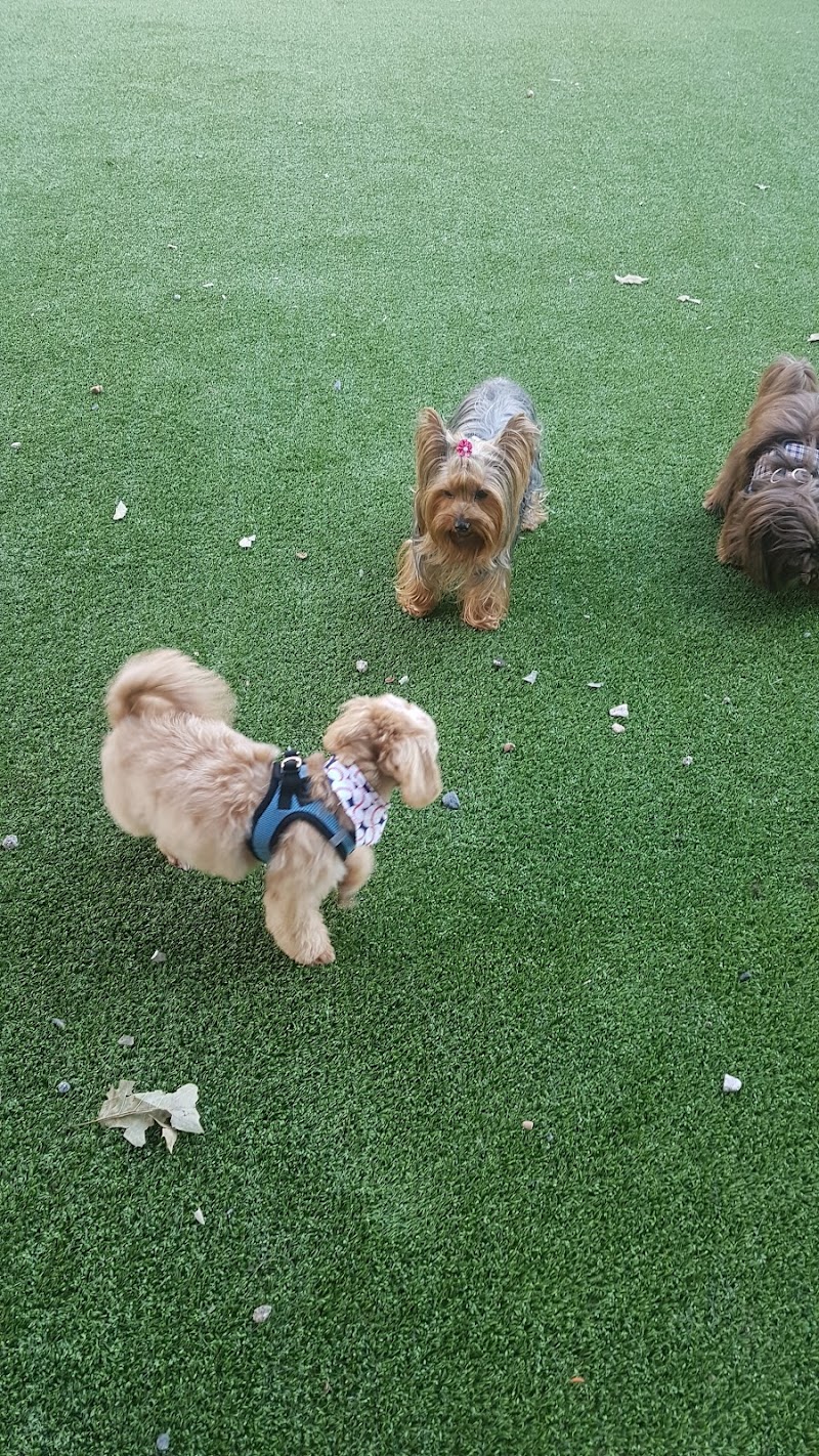 Newport Dog Park - Jersey City, NJ