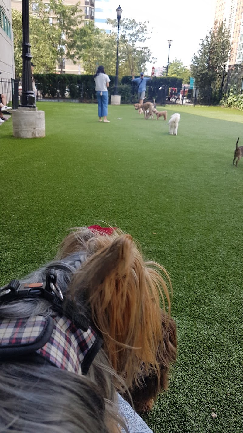 Newport Dog Park - Jersey City, NJ