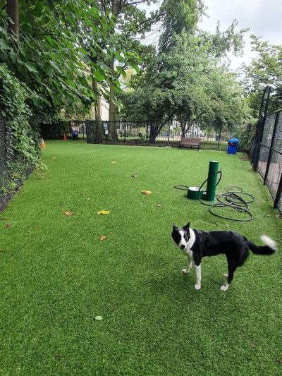Ogden's End Dog Park - Jersey City, NJ