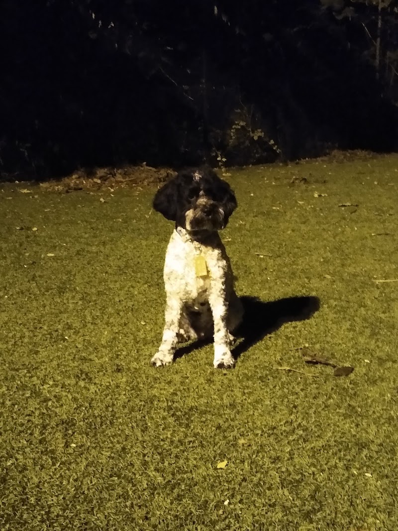 Ogden's End Dog Park - Jersey City, NJ