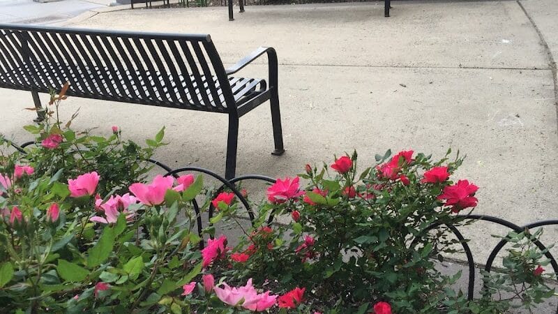 Paulus Hook Park - Jersey City, NJ