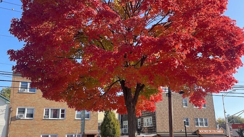 Pershing Field Park - Jersey City, NJ