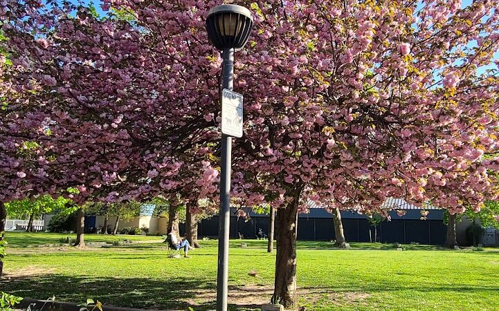Pershing Field Park - Jersey City, NJ
