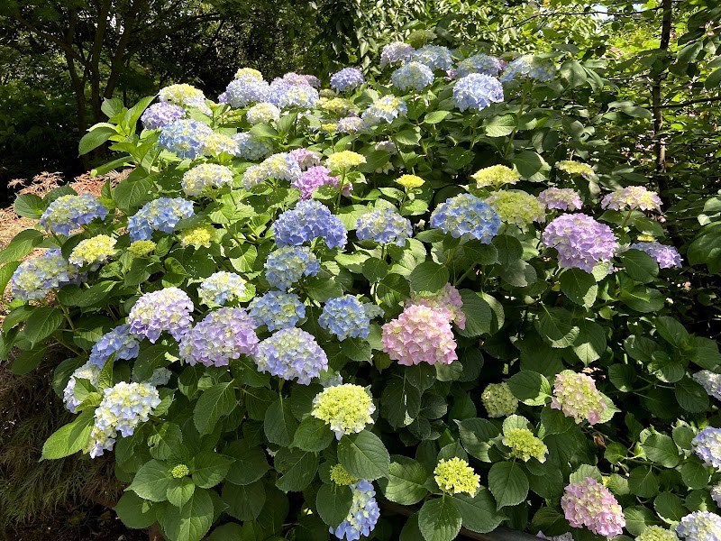 Van Vorst Park - Jersey City, NJ