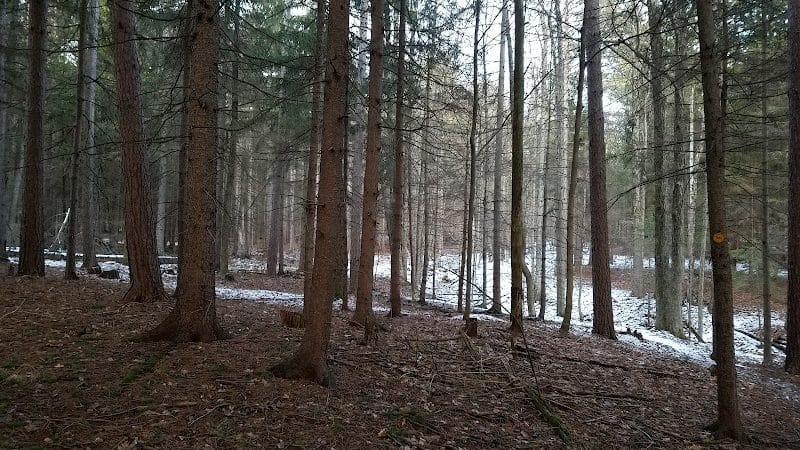 Pittstown SMBA Trail Head - Johnsonville, NY