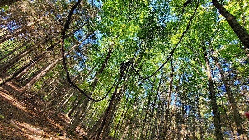 Pittstown SMBA Trail Head - Johnsonville, NY