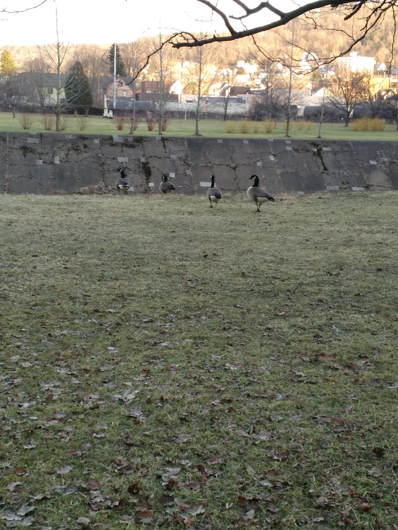 Sandyvale Dog Park - Johnstown, PA