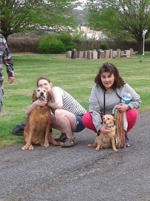 Sandyvale Dog Park