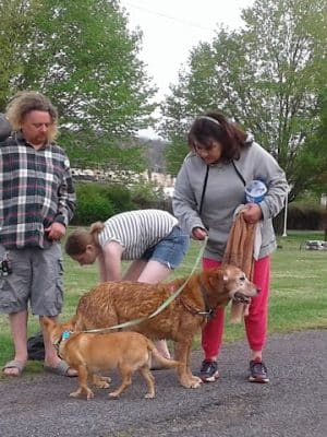 Sandyvale Dog Park