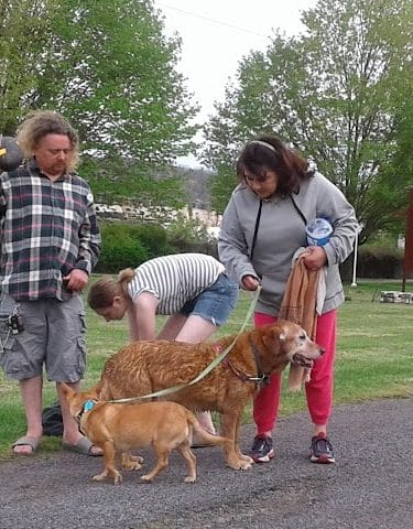 Sandyvale Dog Park - Johnstown, PA