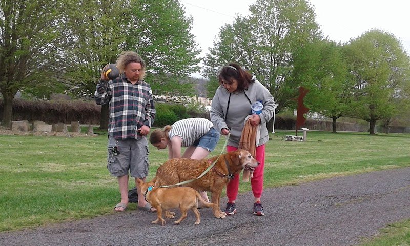Sandyvale Dog Park - Johnstown, PA