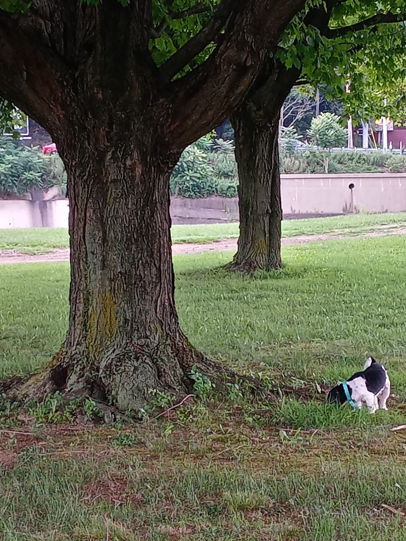 Sandyvale Dog Park - Johnstown, PA