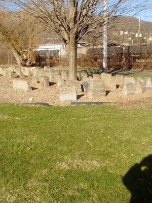 Sandyvale Dog Park