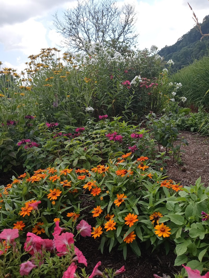 Sandyvale Memorial Gardens and Conservancy and Dog Park - Johnstown, PA