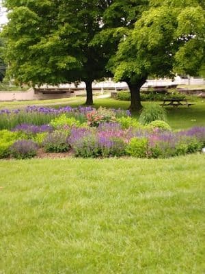 Sandyvale Memorial Gardens and Conservancy and Dog Park
